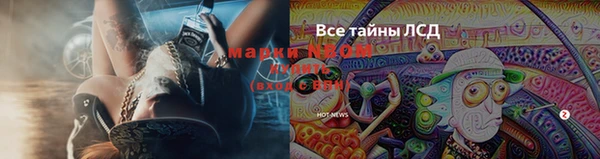 соль ск Балахна
