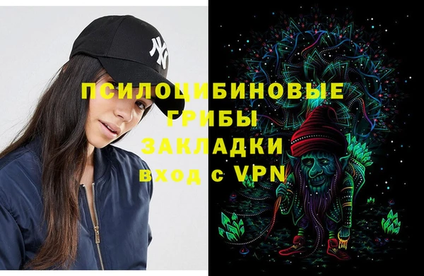 соль ск Балахна