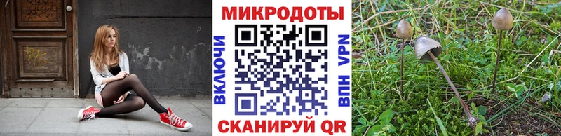 Псилоцибиновые грибы Magic Shrooms  Сердобск 